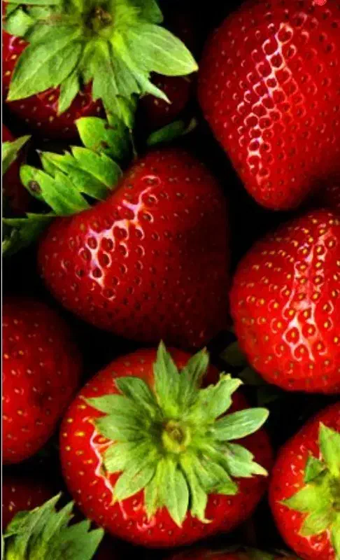 زمین باغ ویلای بر جاده نوشهر