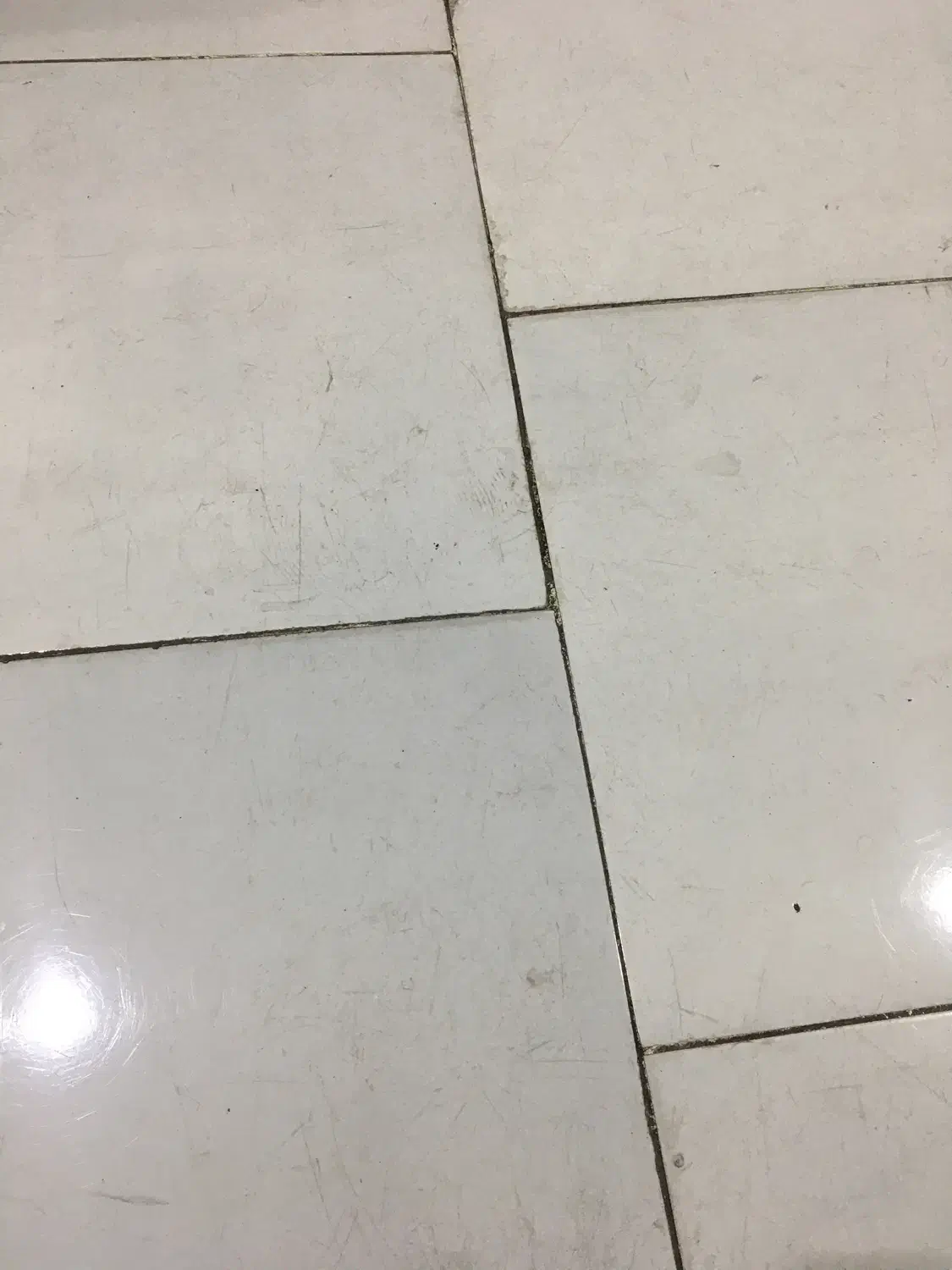 اجاره آپارتمان