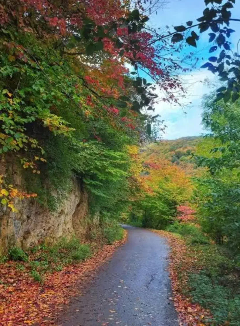 زمین باغی ۱۳۰۰متری لوکیشن تاپ(روستای نقلبر)