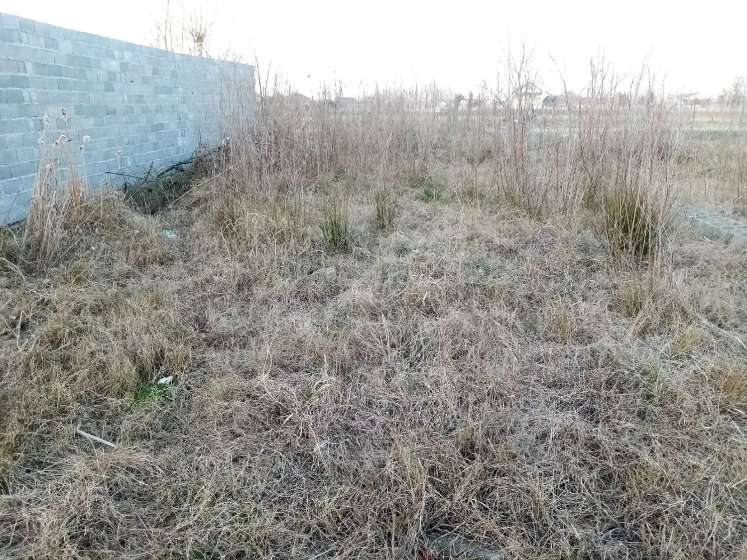 زمین لوکیشن سردار جنگل
