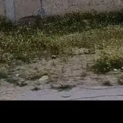 فروش زمین مسکونی ی
