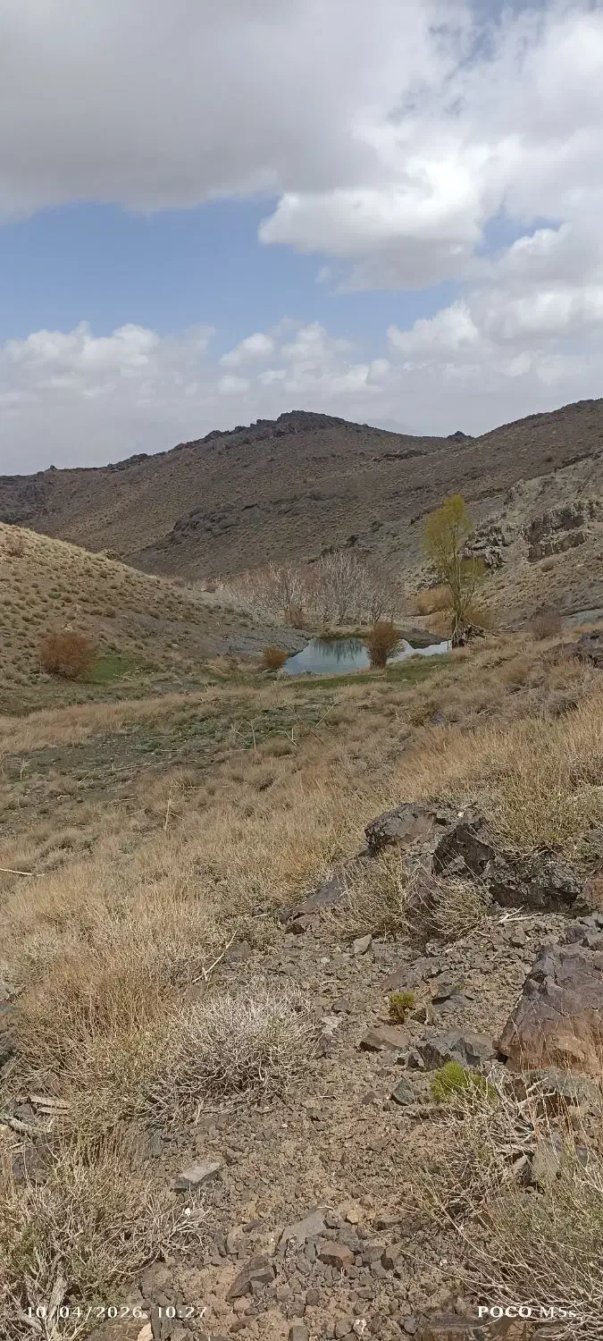 زمین (حسین آباد) میرشادی