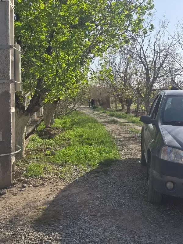 باغ و باغچه_سند تک برگ)عرصه عیان