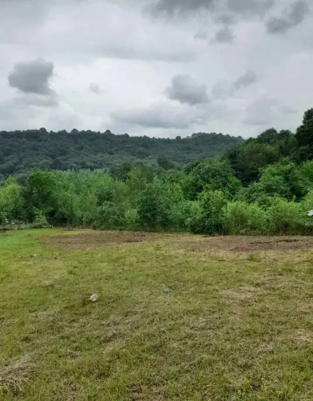 فروش 500 متر زمین مسکونی در روستای گنج تپه