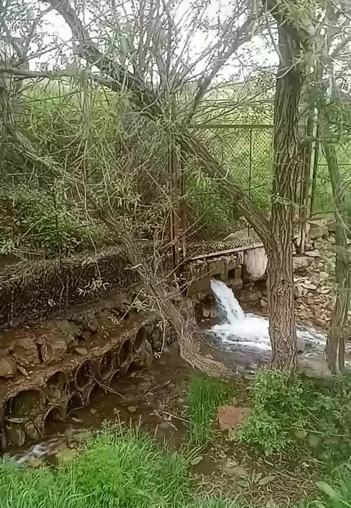 همکاری برای پیش برد پروژه باخان