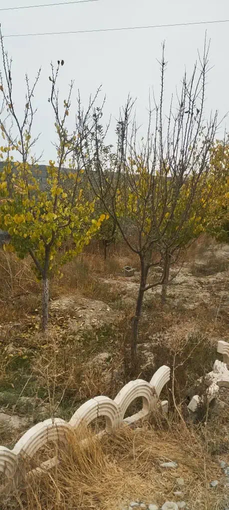 ۱۴۰ متر سوله با۲۰۰ متر حیاط
