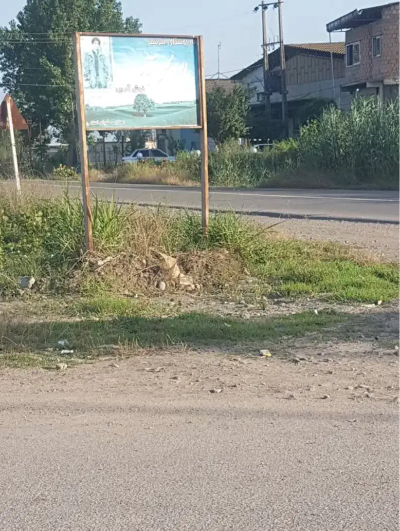 زمین