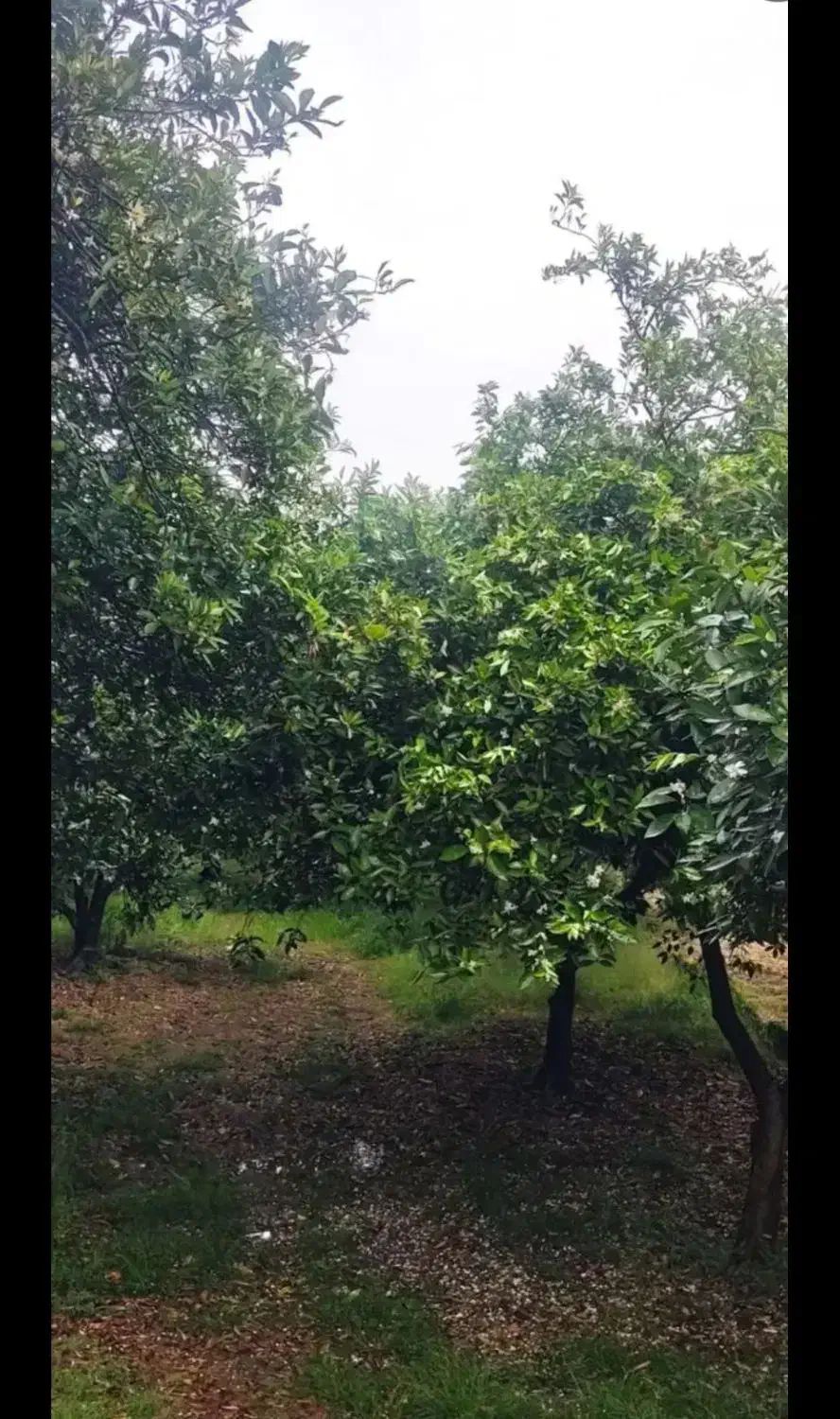 فروش زمین با شرایطهای خوب