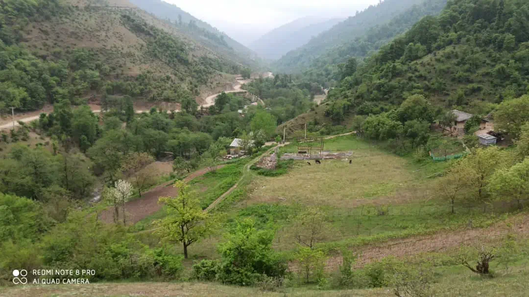 زمین