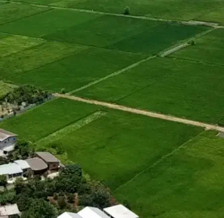 زمین کشاورزی
