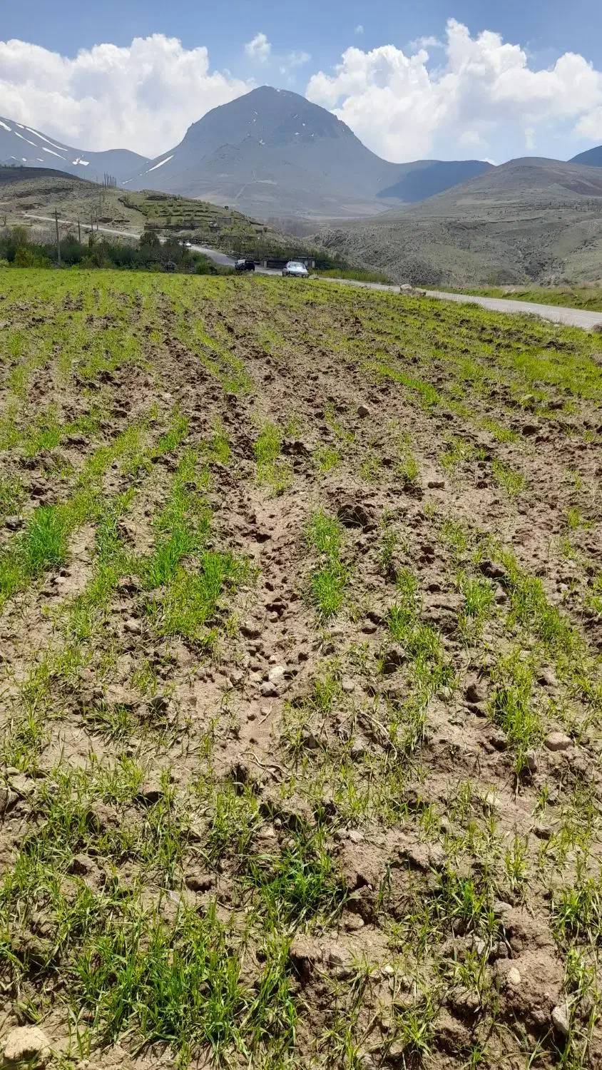 فروش زمین ویلایی