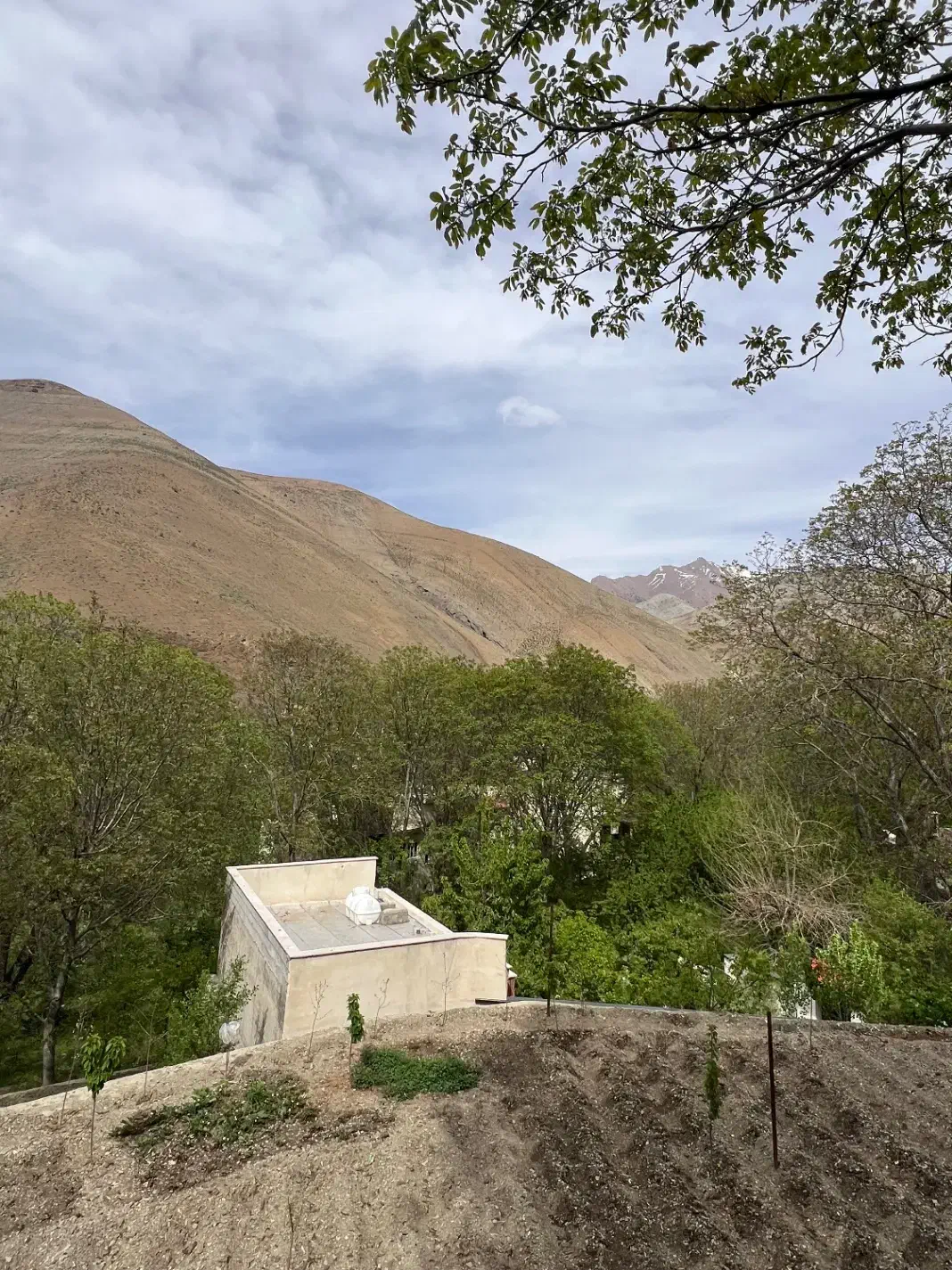 زمین فشم مگسک