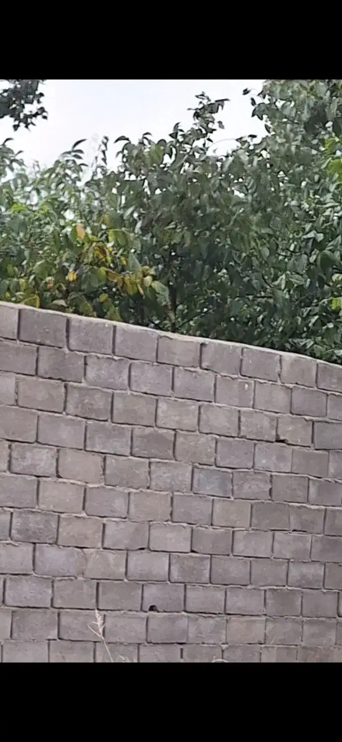 زمین مسکونی سجاس