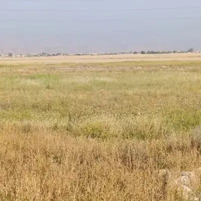 زمین ویلایی  اب برق گاز داره