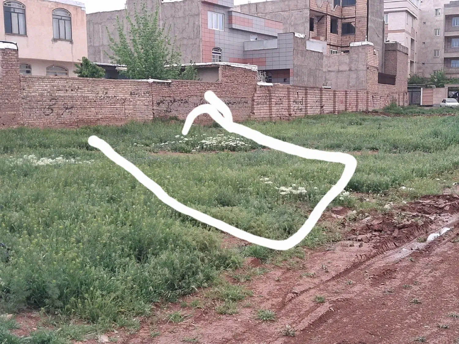 زمین