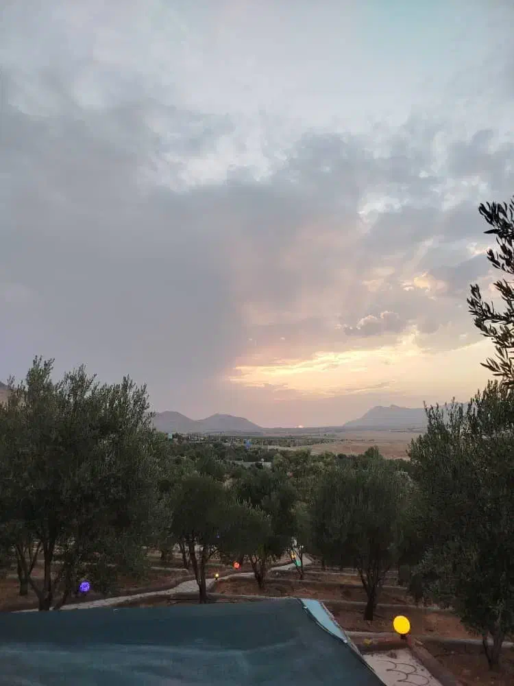 فروش تجاری فعال