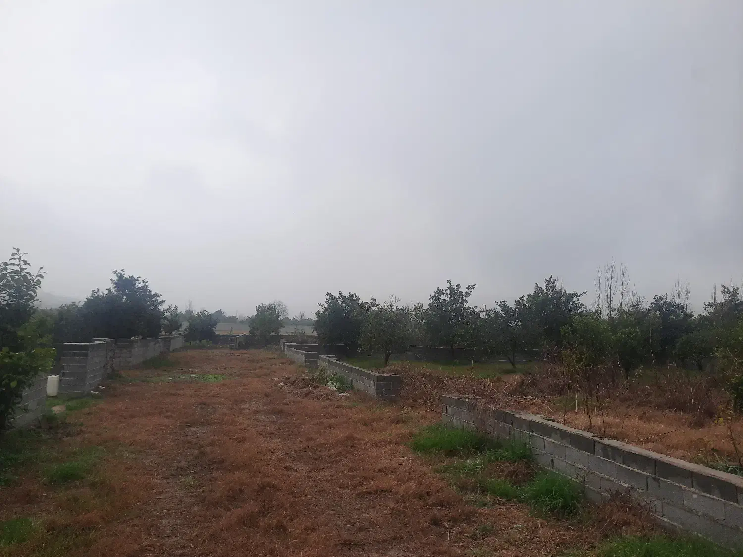 زمین در درونکلا غربی