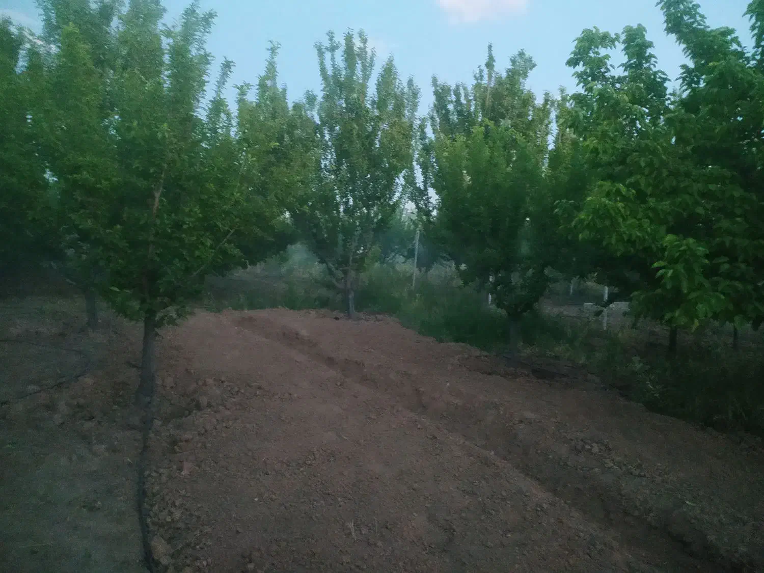 زمین مناسب باغچه