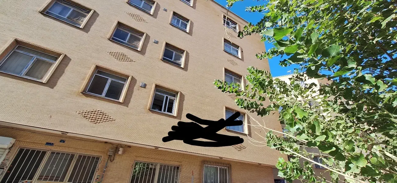 هم خانه ای