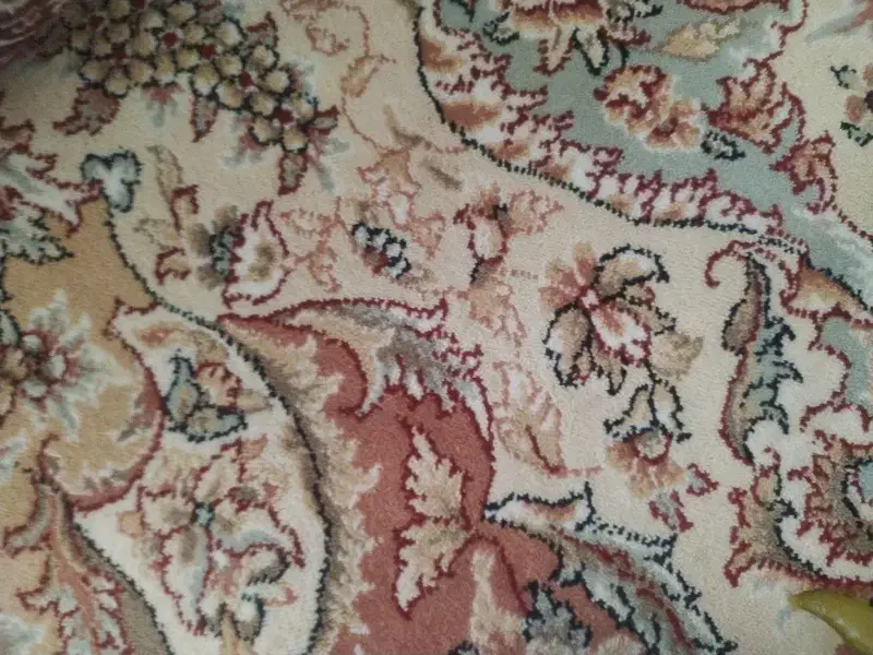 همخونگی