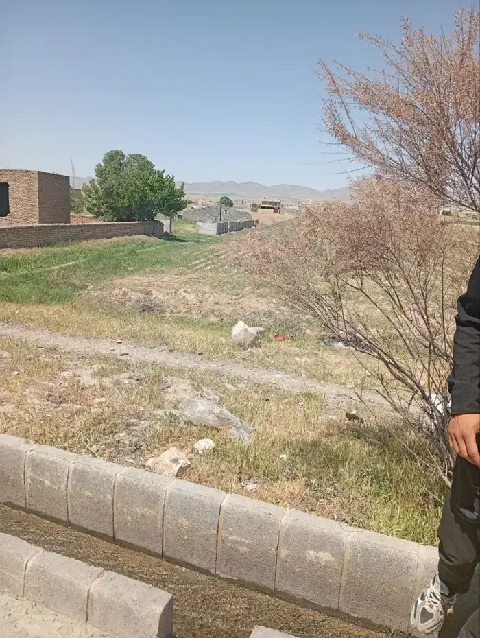 زمین روبروی چوب بری قوچانیان