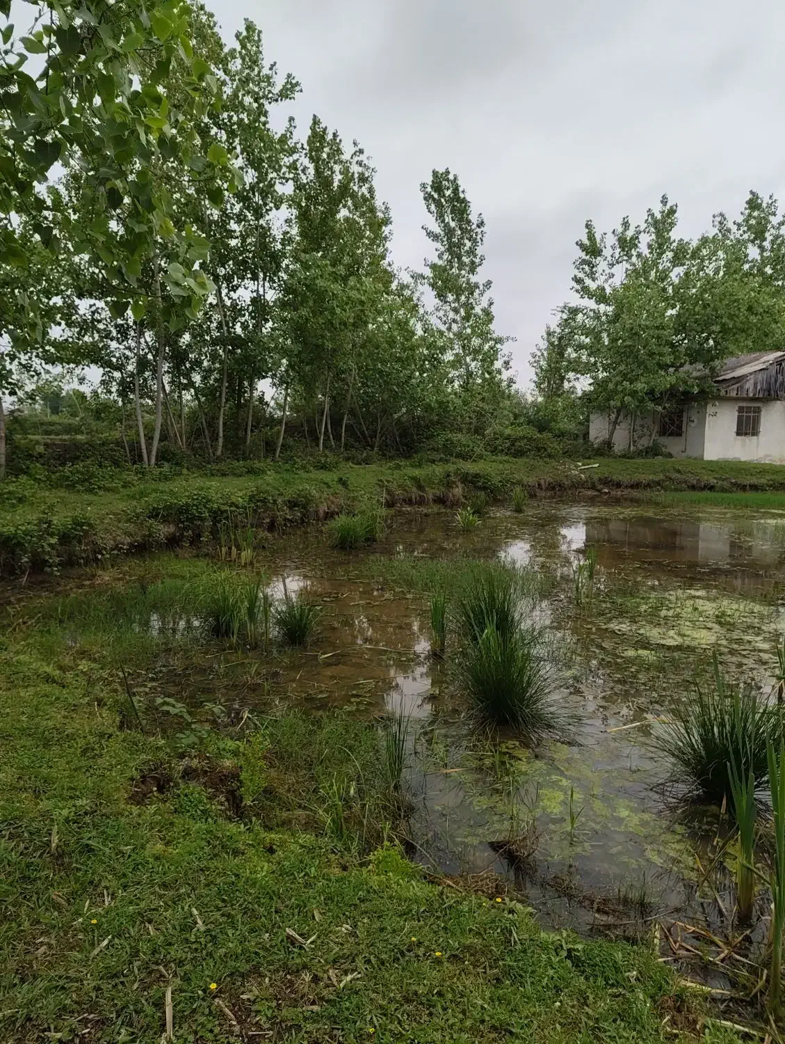 فروش زمین بزرگ با کاربری صنعتی و بخشی مسکونی