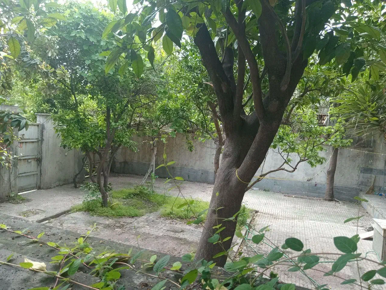 اجاره ملک ویلایی در شهرک امام