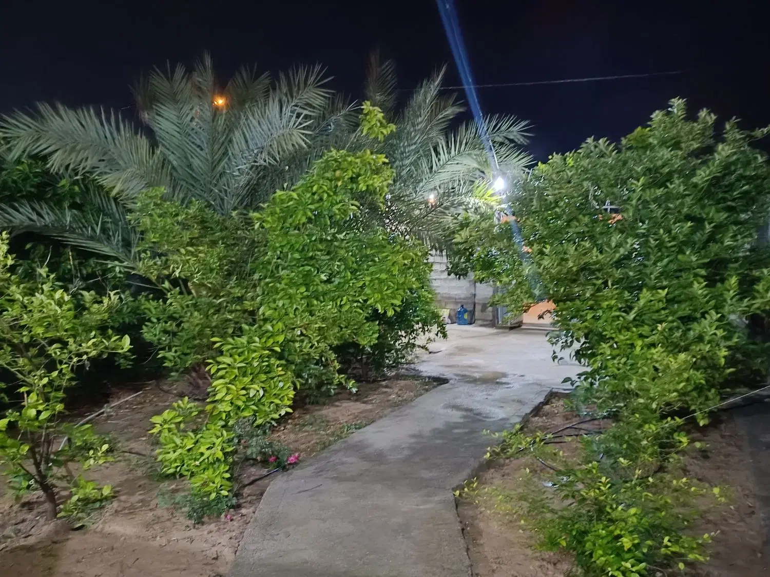 باغ اجاره ساعتی و روزانه