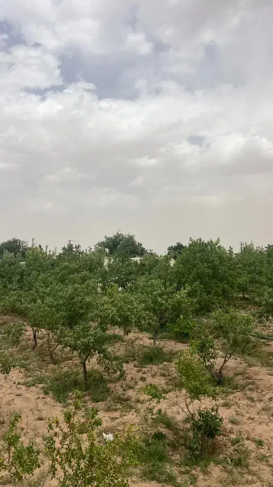 فروش باغ ویلا سند دار در یک ساعتی تهران