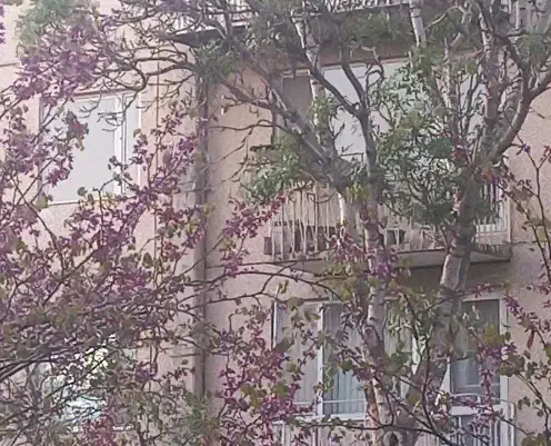 اجاره اپارتمان