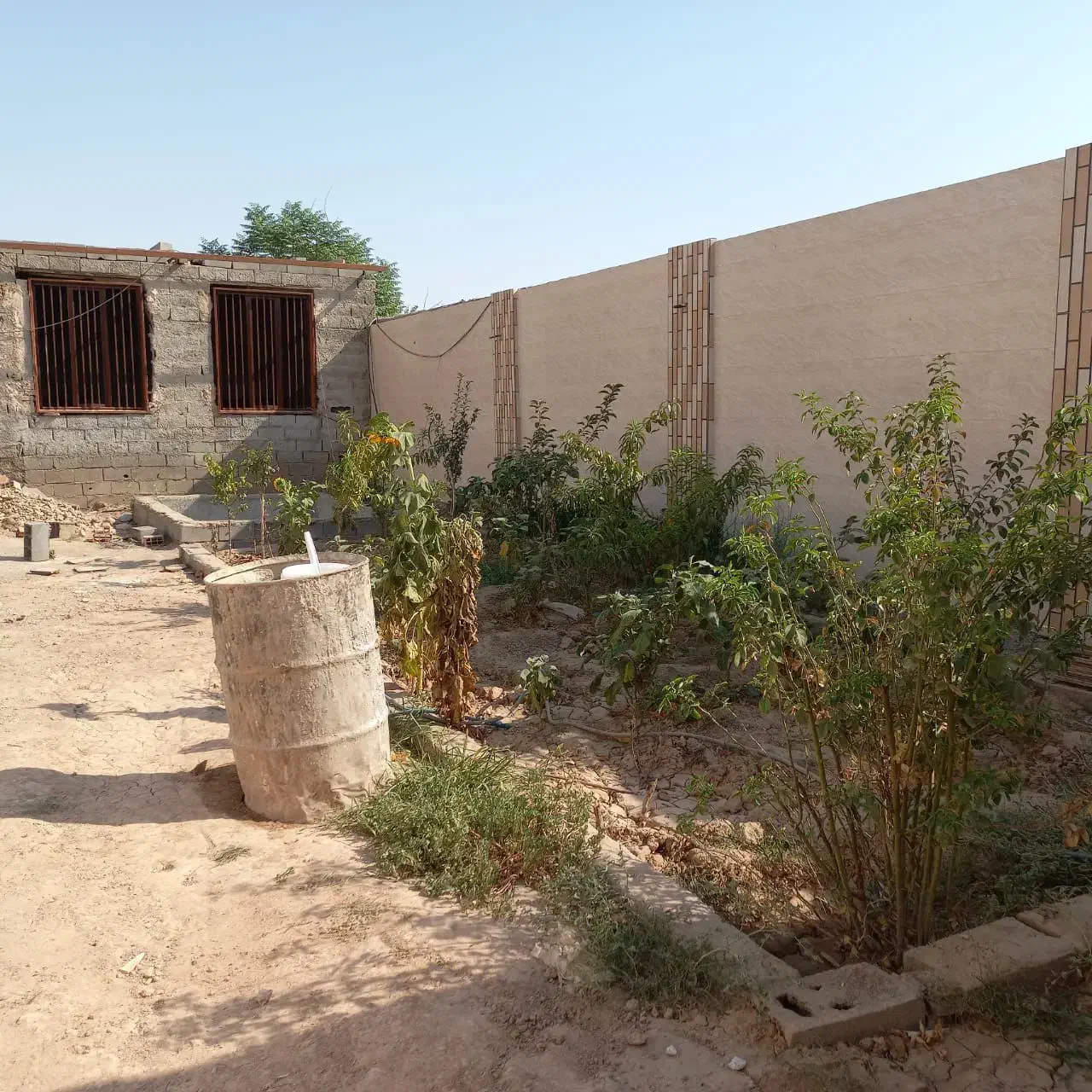 زمین 290متری