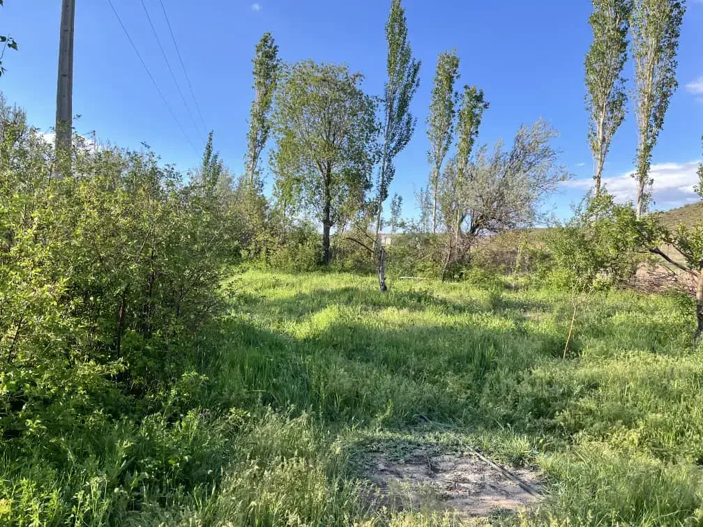 ائل گلی باغچبان