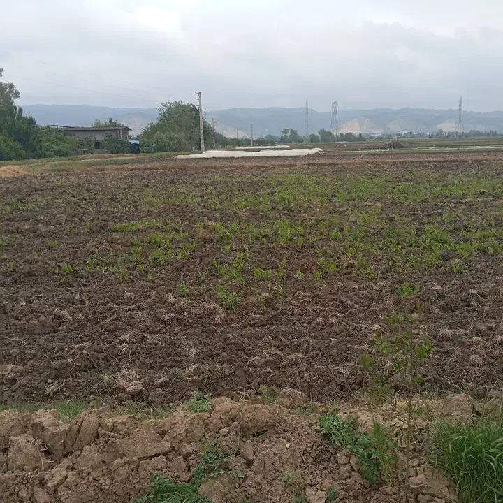 زمین کشاورزی و باغ و ...