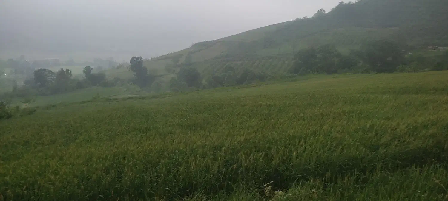فروش زمین در روستای کوهمیان