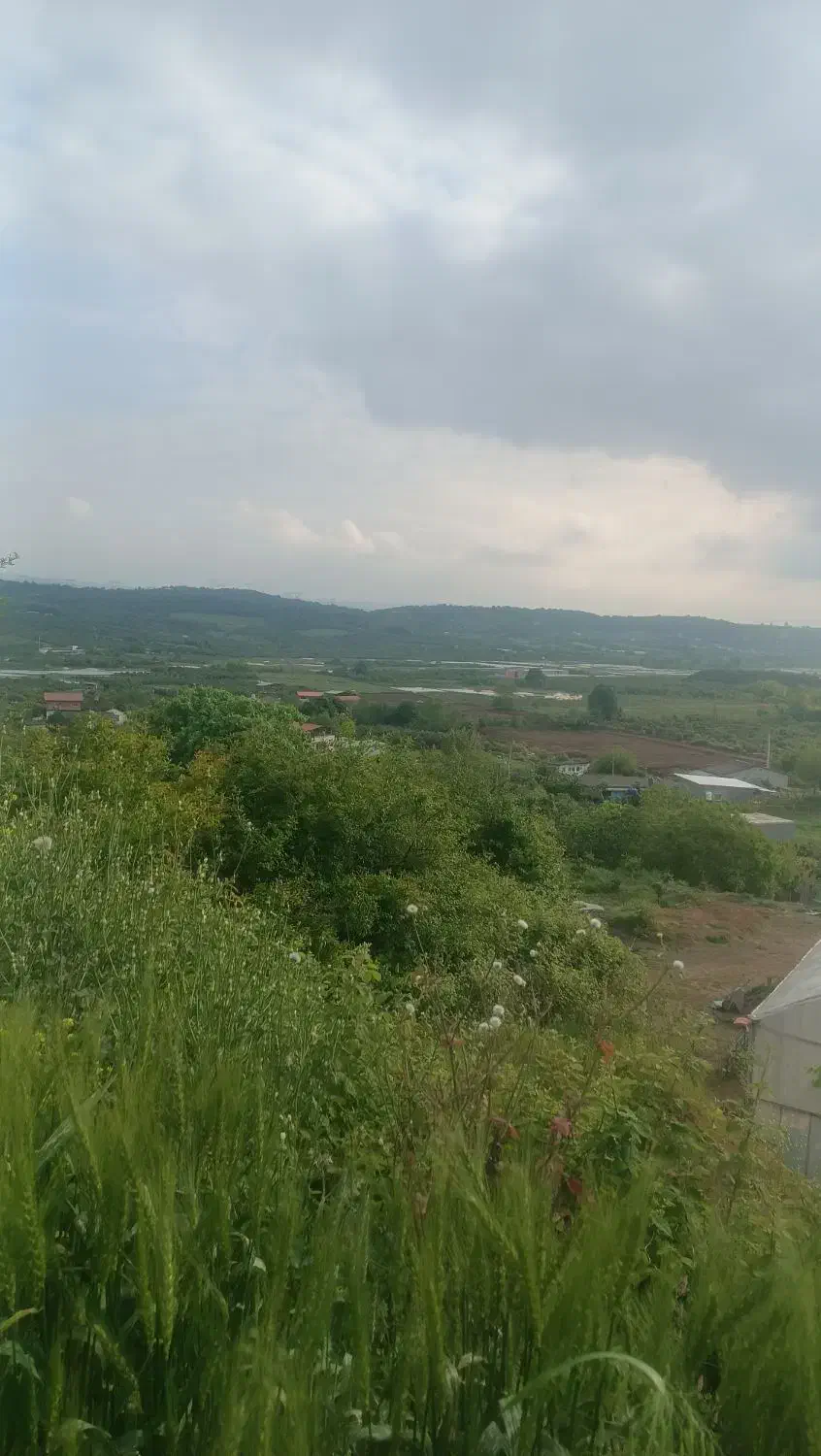 زمین کشاورزی ارطه