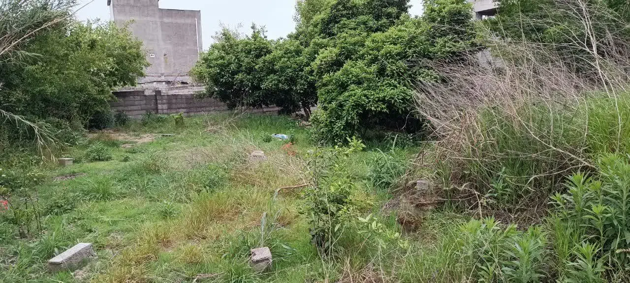 فروش زمین مسکونی بخش لاله اباد روستای برسمنان