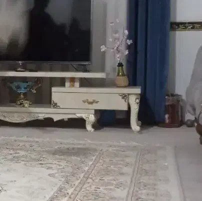 همخانه خانم