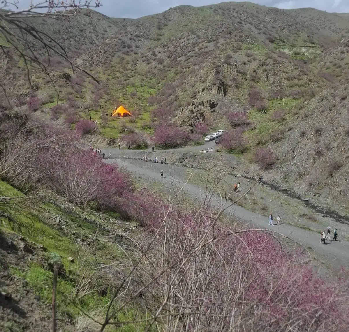 زمین حاشیه دلاوران ۴۶