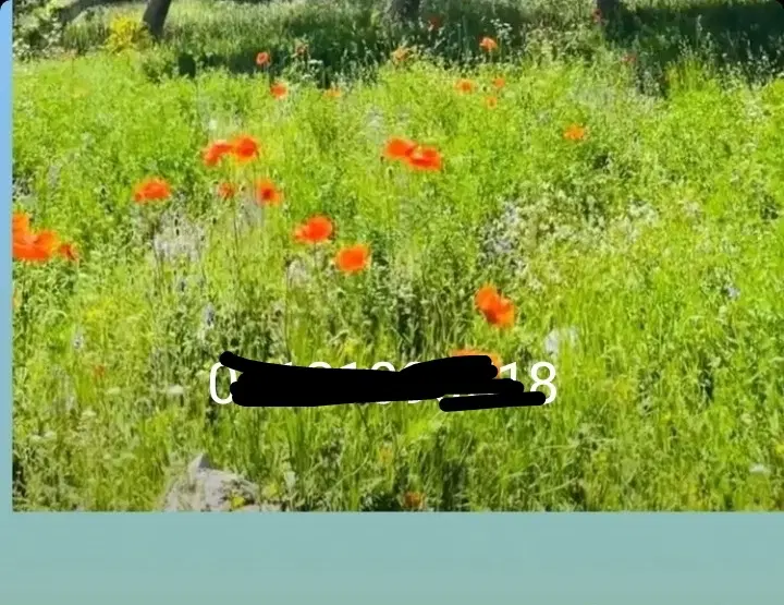 زمین 1200 متری