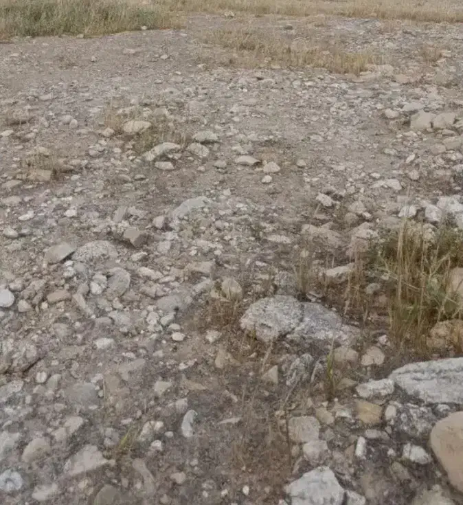 قطعه زمین کشاورزی در دالکی