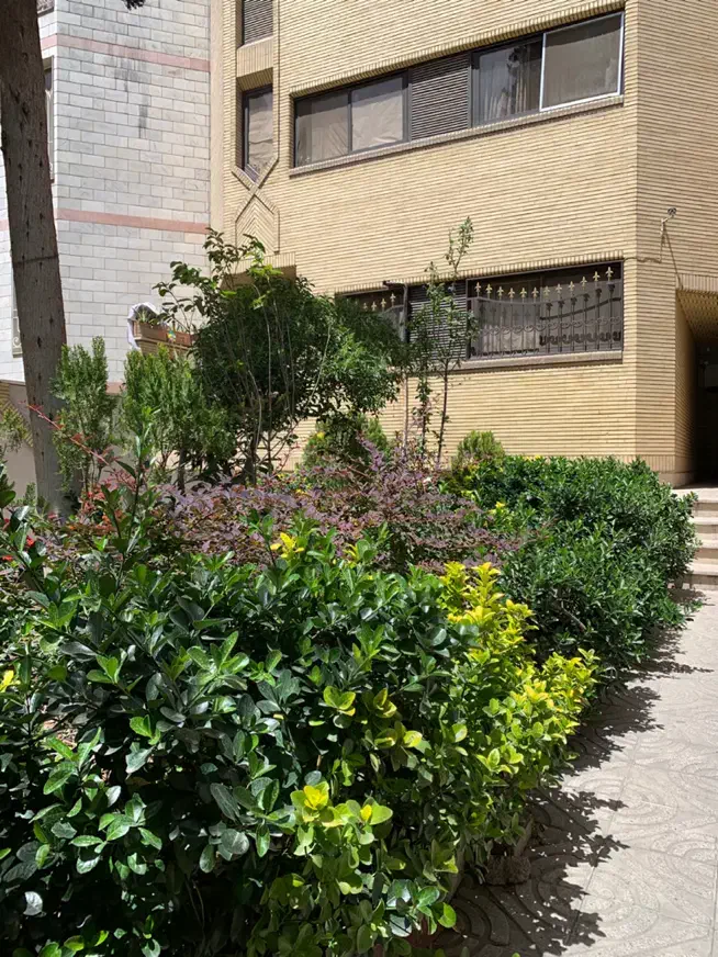 ۵۰ متر دبستان