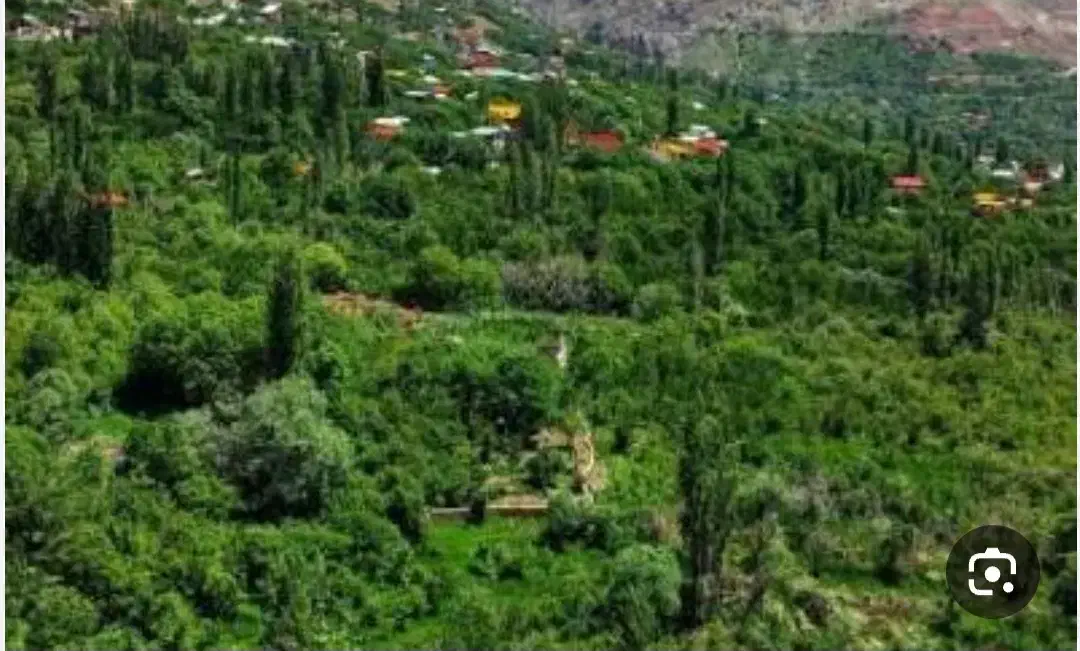 معاوضه زمین