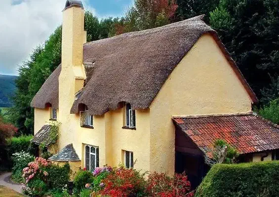 مغازه تجاری