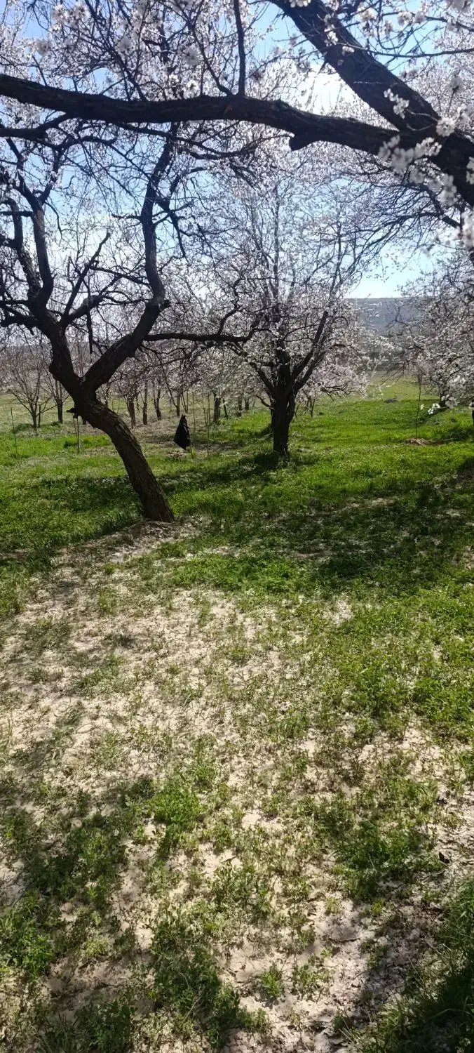 باغ جاده ورزقان روستای سرند به متراژ ۲۰۰۰