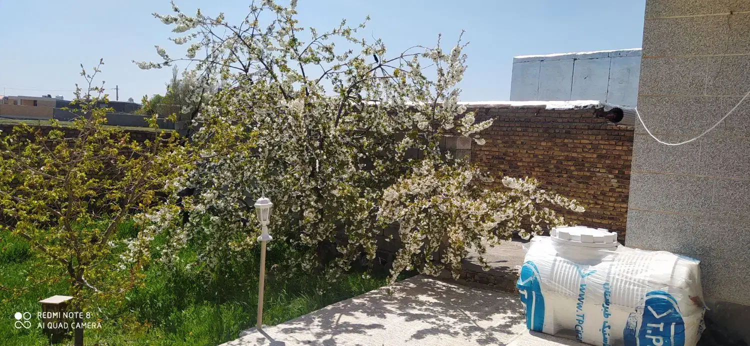 اجاره خونه باغ یا خانه ویلایی