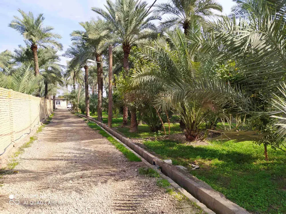 فروش زمین کشاورزی مسکونی