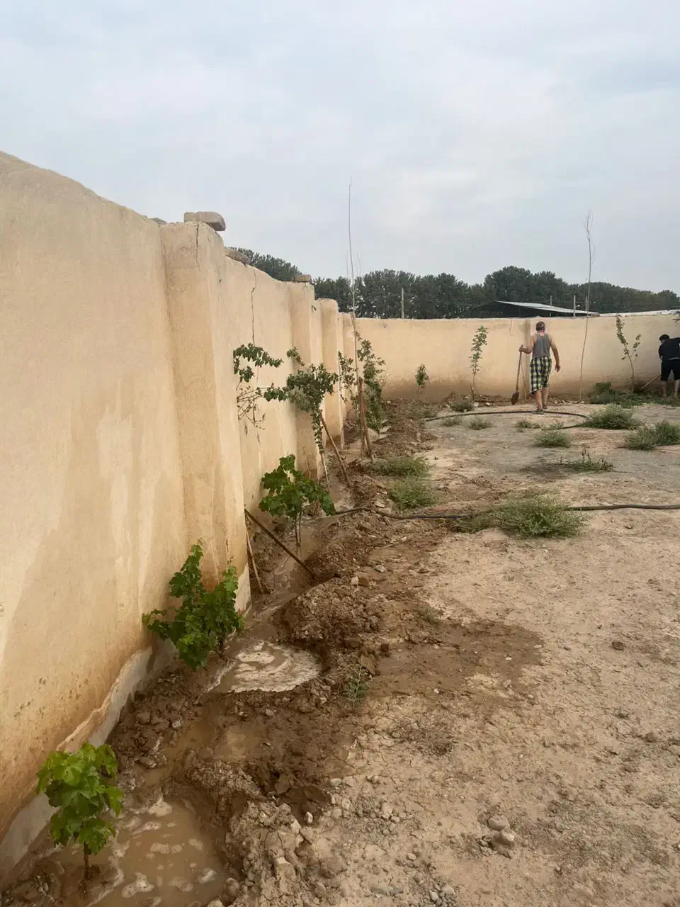 باغچه چهاردیواری با اب برق