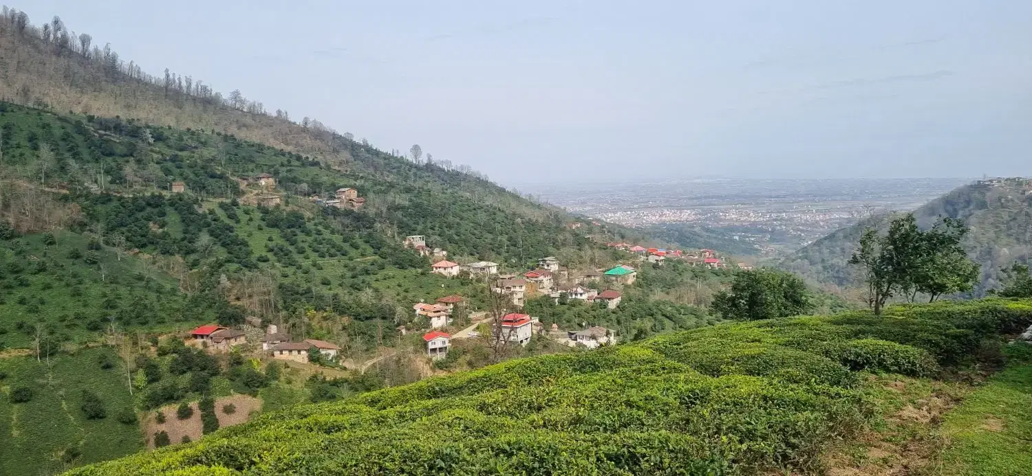 ویلا جنگلی