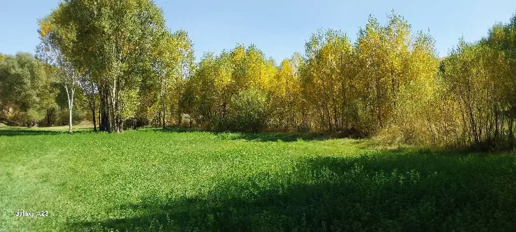 خانه کلنگی 320متر شنب غازان دامپزشکی آخونی خطیب