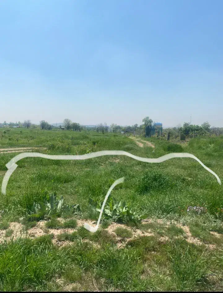 فروش باغ